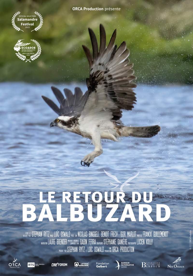 Affiche Le Retour du Balbuzard