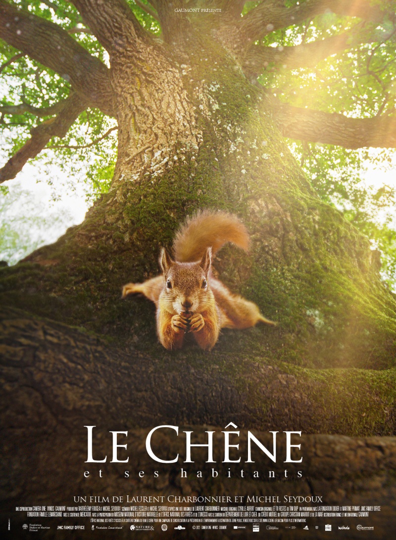 Affiche Le Chêne 