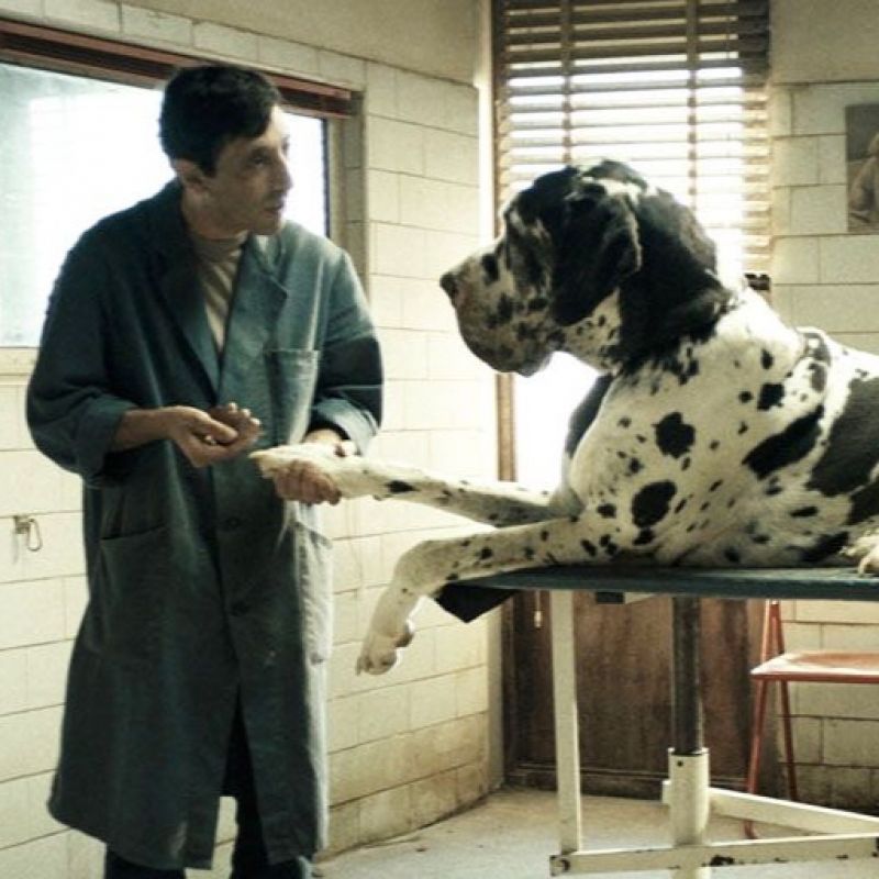 Dogman