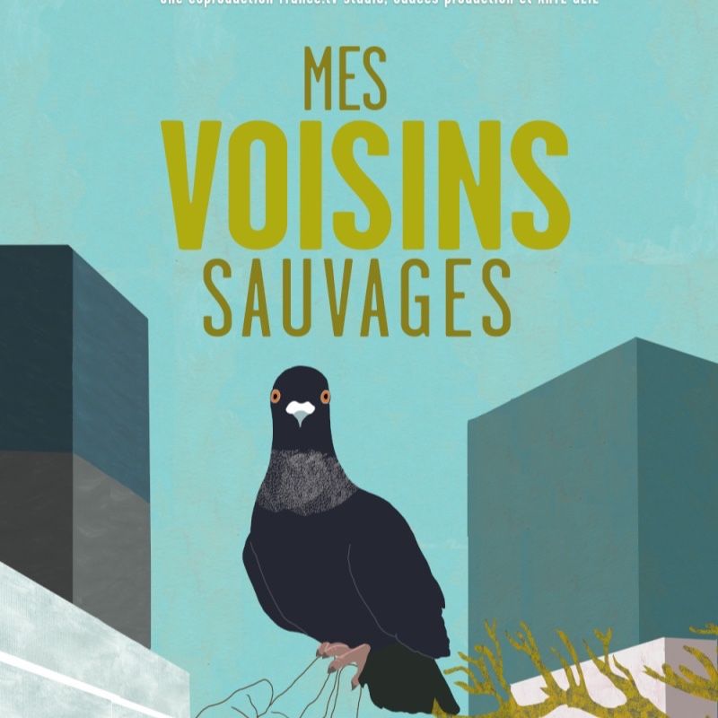 Mes Voisins sauvages