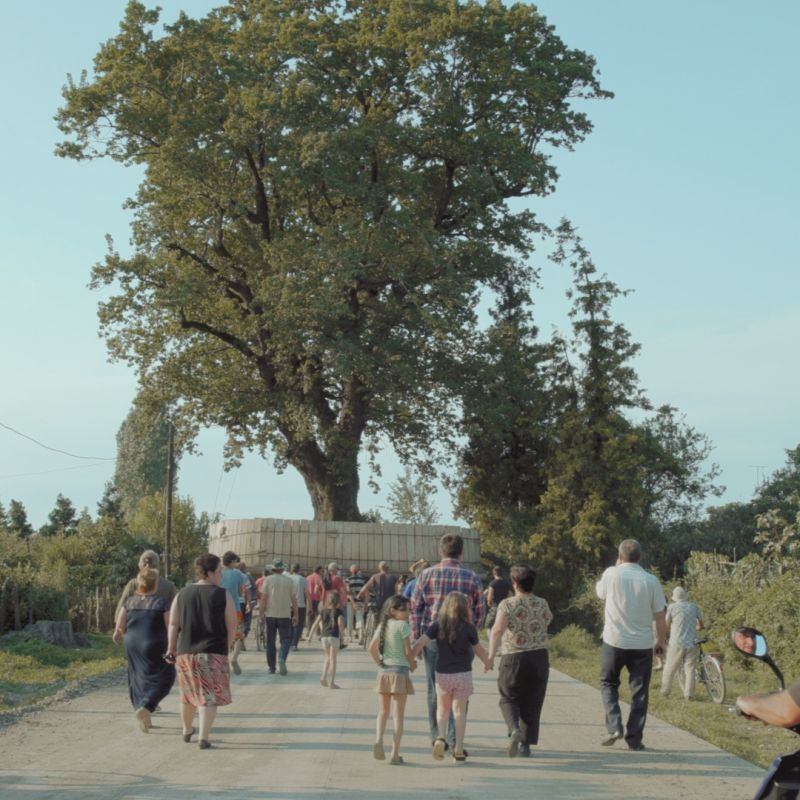 La Balade des Grands Arbres